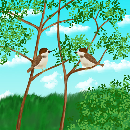 スズメのカップル