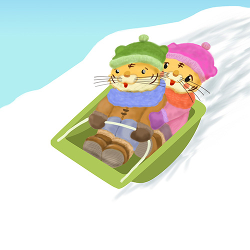 トラのカップル